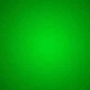 Meet your Posher, Brady